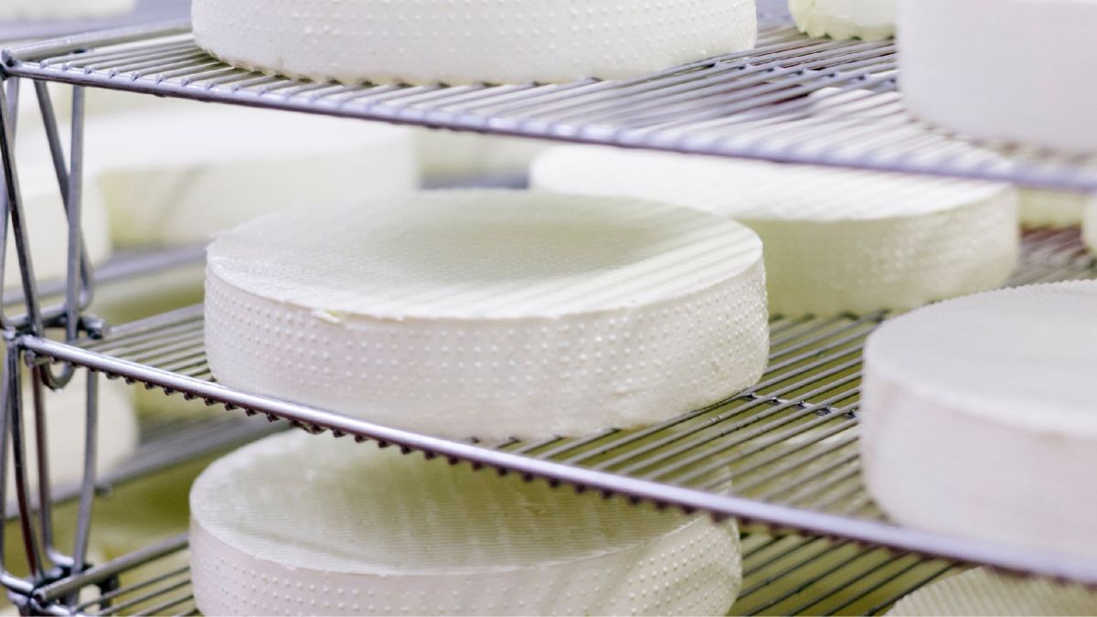 Aging cheese at home: Possible or not?